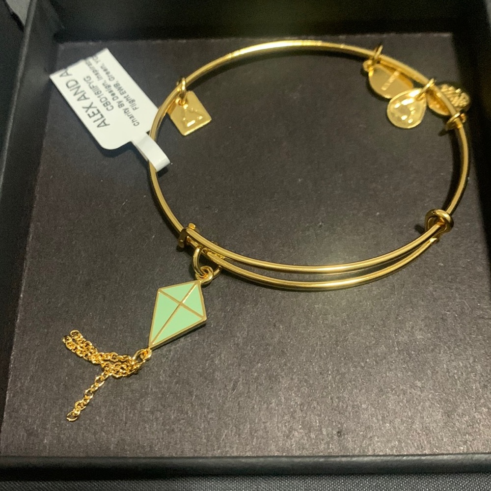 NWT Allex and Ani bracelet